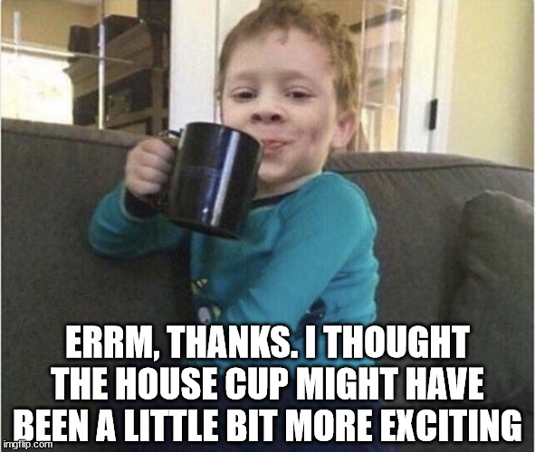 coffee cup kid | ERRM, THANKS. I THOUGHT THE HOUSE CUP MIGHT HAVE BEEN A LITTLE BIT MORE EXCITING | image tagged in coffee cup kid | made w/ Imgflip meme maker