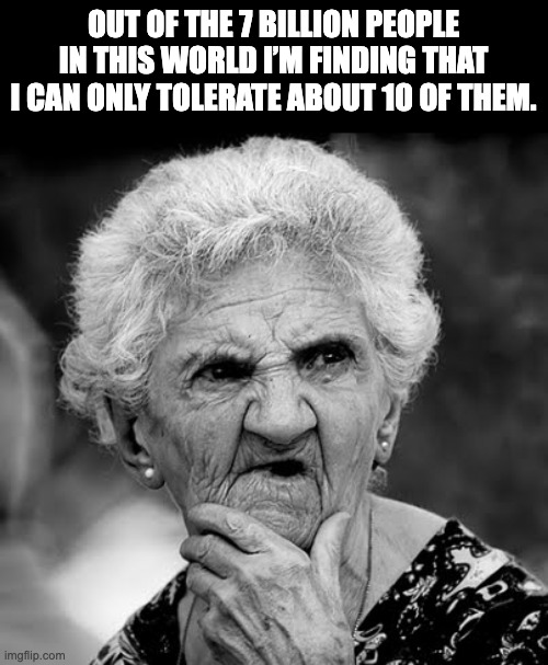 Toleration | OUT OF THE 7 BILLION PEOPLE IN THIS WORLD I’M FINDING THAT I CAN ONLY TOLERATE ABOUT 10 OF THEM. | image tagged in skeptical old lady | made w/ Imgflip meme maker
