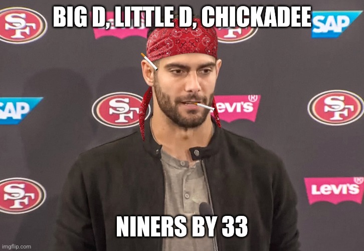 BIG D, LITTLE D, CHICKADEE; NINERS BY 33 | image tagged in 49ers | made w/ Imgflip meme maker