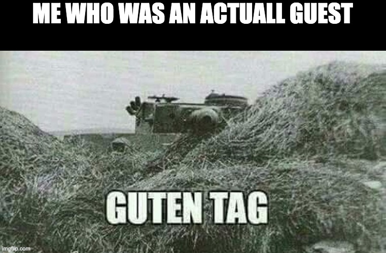 German guten tag tiger | ME WHO WAS AN ACTUALL GUEST | image tagged in german guten tag tiger | made w/ Imgflip meme maker