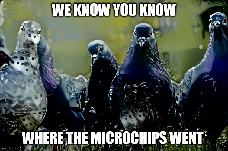 We Know You Know | WE KNOW YOU KNOW; WHERE THE MICROCHIPS WENT | image tagged in pigeon,birds,chips | made w/ Imgflip meme maker