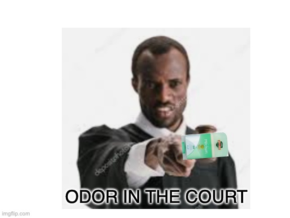 Odor in the court |  ODOR IN THE COURT | image tagged in bad puns,blank white template | made w/ Imgflip meme maker