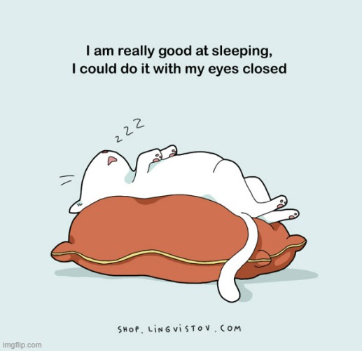 A Cat's Way Of Thinking | image tagged in memes,comics,cats,sleeping,eyes,closed | made w/ Imgflip meme maker