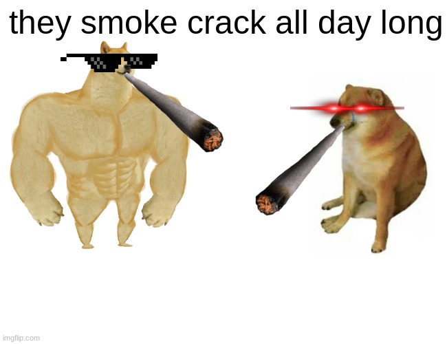 Buff Doge vs. Cheems | they smoke crack all day long | image tagged in memes,buff doge vs cheems | made w/ Imgflip meme maker