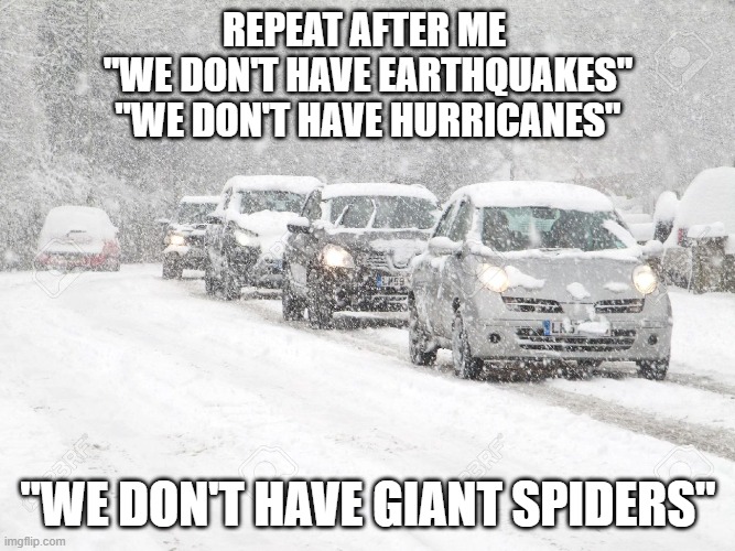 Winter Driving | REPEAT AFTER ME 
"WE DON'T HAVE EARTHQUAKES"
"WE DON'T HAVE HURRICANES"; "WE DON'T HAVE GIANT SPIDERS" | image tagged in winter driving | made w/ Imgflip meme maker