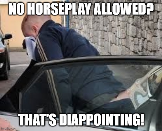 Tom "Horsey" O'Connor | NO HORSEPLAY ALLOWED? THAT'S DIAPPOINTING! | image tagged in tom horsey o'connor | made w/ Imgflip meme maker
