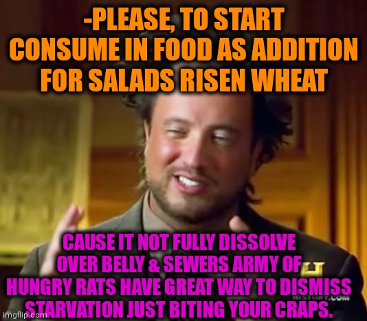 -Cereals bar. | -PLEASE, TO START CONSUME IN FOOD AS ADDITION FOR SALADS RISEN WHEAT; CAUSE IT NOT FULLY DISSOLVE OVER BELLY & SEWERS ARMY OF HUNGRY RATS HAVE GREAT WAY TO DISMISS STARVATION JUST BITING YOUR CRAPS. | image tagged in memes,ancient aliens,buckwheat,crappy memes,rats,hunger games | made w/ Imgflip meme maker