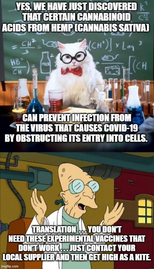 According to research from the College of Pharmacy and the Linus Pauling Institute | YES, WE HAVE JUST DISCOVERED THAT CERTAIN CANNABINOID ACIDS FROM HEMP (CANNABIS SATIVA); CAN PREVENT INFECTION FROM THE VIRUS THAT CAUSES COVID-19 BY OBSTRUCTING ITS ENTRY INTO CELLS. TRANSLATION  . . . YOU DON'T NEED THESE EXPERIMENTAL VACCINES THAT DON'T WORK . . . JUST CONTACT YOUR LOCAL SUPPLIER AND THEN GET HIGH AS A KITE. | image tagged in memes,chemistry cat | made w/ Imgflip meme maker