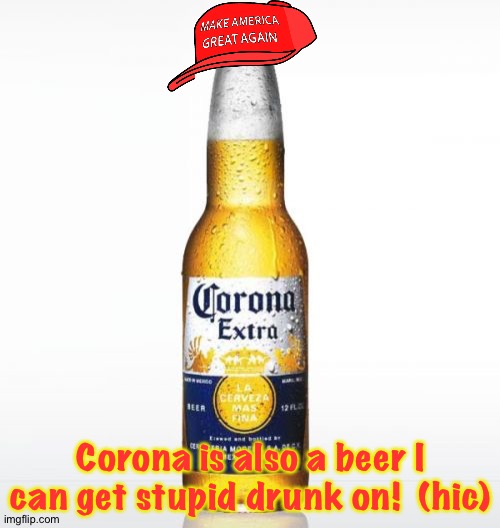 Corona Meme | Corona is also a beer I can get stupid drunk on!  (hic) | image tagged in memes,corona | made w/ Imgflip meme maker