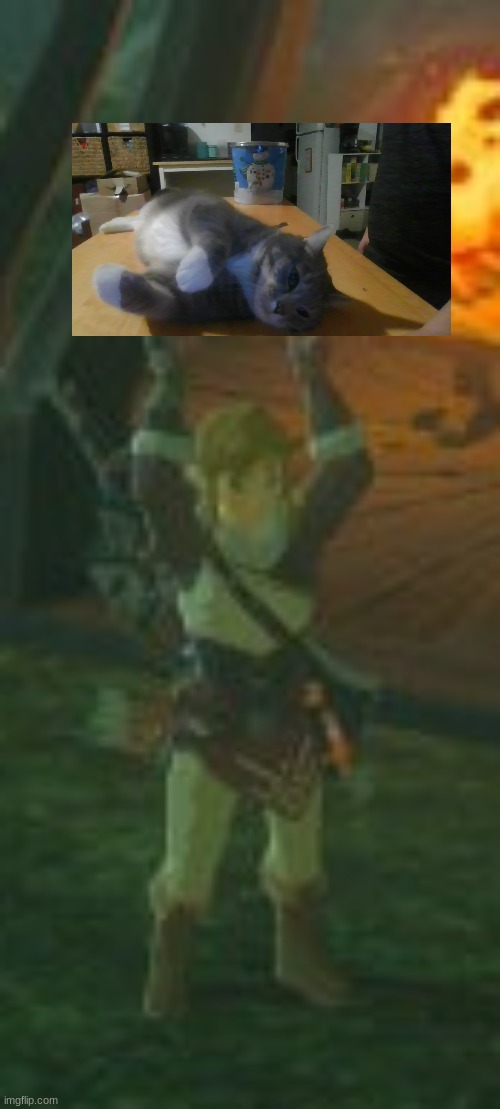 link is holding my cat | image tagged in link holding x | made w/ Imgflip meme maker