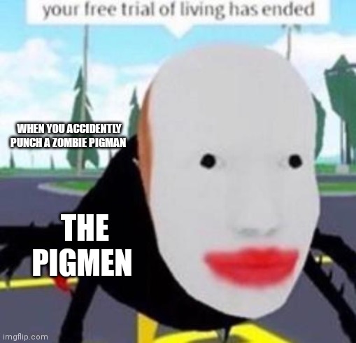 Your free trial of living has exeded | WHEN YOU ACCIDENTLY PUNCH A ZOMBIE PIGMAN; THE PIGMEN | image tagged in your free trial of living has exeded | made w/ Imgflip meme maker