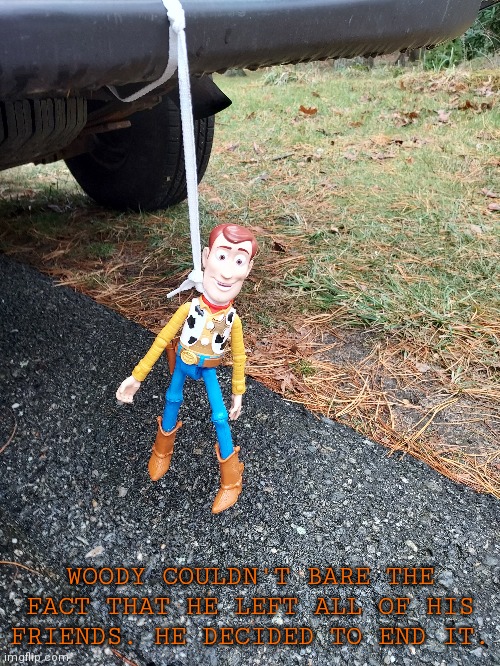 Took the picture myself | WOODY COULDN'T BARE THE FACT THAT HE LEFT ALL OF HIS FRIENDS. HE DECIDED TO END IT. | image tagged in funny,wtf,yesh | made w/ Imgflip meme maker