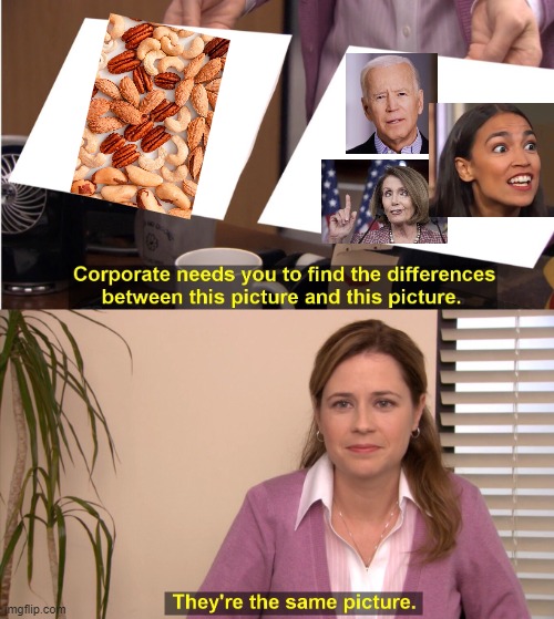 Nuts | image tagged in they're the same picture,nuts,biden,pelosi,aoc,democrats | made w/ Imgflip meme maker