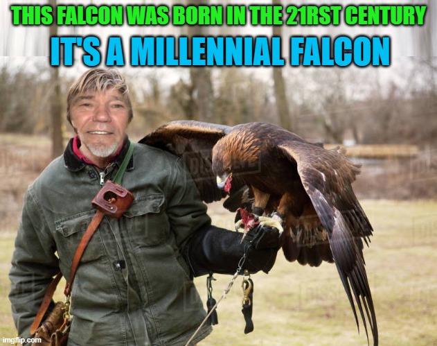 millennial falcon |  IT'S A MILLENNIAL FALCON; THIS FALCON WAS BORN IN THE 21RST CENTURY | image tagged in falcon,millennial falcon | made w/ Imgflip meme maker