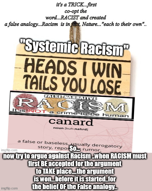 Racism...Canard | it's a TRICK...first co-opt the word...RACIST and created a false analogy...Racism  is in fact, Nature..."each to their own".. So...
now try to argue against Racism ..when RACISM must first BE accepted for the argument to TAKE place....the argument is won...before it is started..for the belief OF the False analogy.. | image tagged in race,black,racist,canard,ruse,evil | made w/ Imgflip meme maker