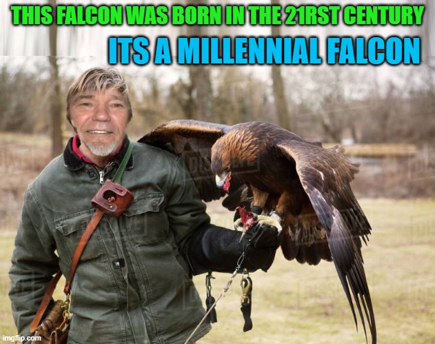 millennial falcon | ITS A MILLENNIAL FALCON; THIS FALCON WAS BORN IN THE 21RST CENTURY | image tagged in millennial falcon,kewlew | made w/ Imgflip meme maker