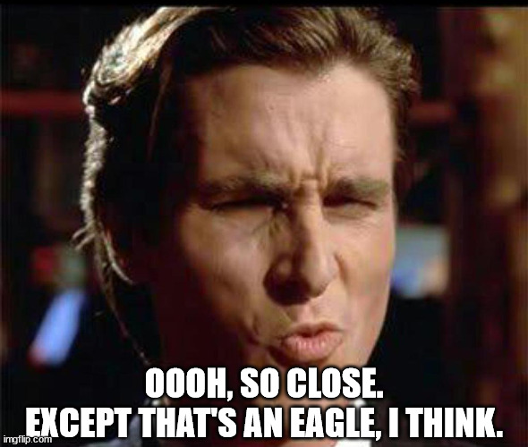 Christian Bale Ooh | OOOH, SO CLOSE.
EXCEPT THAT'S AN EAGLE, I THINK. | image tagged in christian bale ooh | made w/ Imgflip meme maker