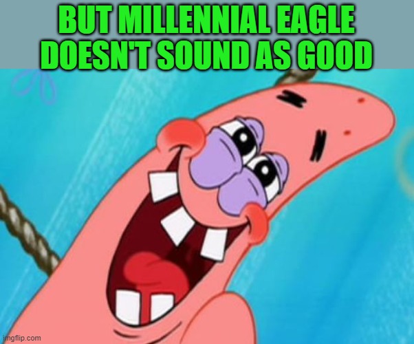patrick star | BUT MILLENNIAL EAGLE DOESN'T SOUND AS GOOD | image tagged in patrick star | made w/ Imgflip meme maker