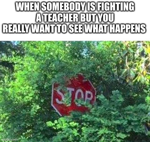 Stop Sign hiding in the bushes | WHEN SOMEBODY IS FIGHTING A TEACHER BUT YOU REALLY WANT TO SEE WHAT HAPPENS | image tagged in stop sign hiding in the bushes | made w/ Imgflip meme maker