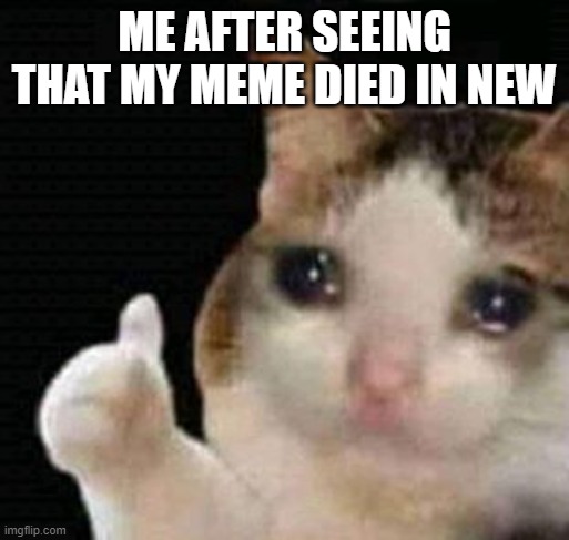 It died in new | ME AFTER SEEING THAT MY MEME DIED IN NEW | image tagged in sad thumbs up cat | made w/ Imgflip meme maker