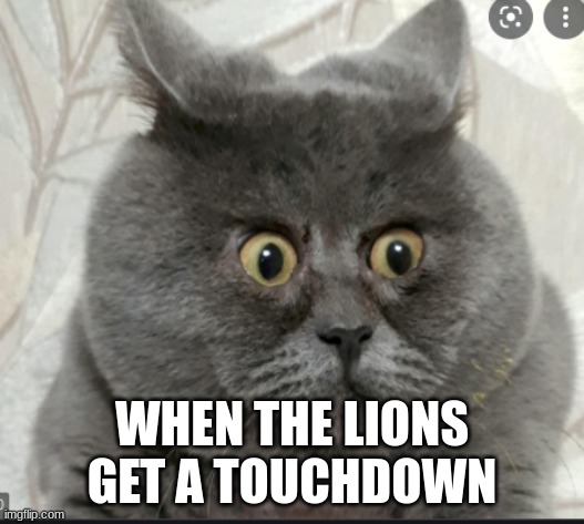 when the lions get a touchdown | WHEN THE LIONS GET A TOUCHDOWN | image tagged in funny cats | made w/ Imgflip meme maker