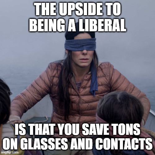 Bird Box Meme | THE UPSIDE TO BEING A LIBERAL; IS THAT YOU SAVE TONS ON GLASSES AND CONTACTS | image tagged in memes,bird box | made w/ Imgflip meme maker