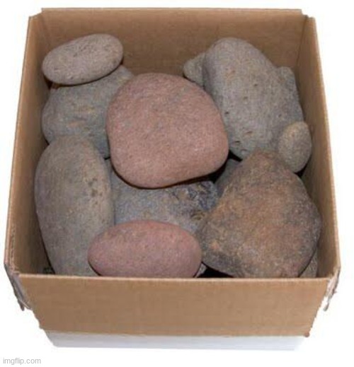 Box of Rocks | image tagged in box of rocks | made w/ Imgflip meme maker