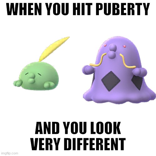 So sad for 12 year olds | WHEN YOU HIT PUBERTY; AND YOU LOOK VERY DIFFERENT | image tagged in pokemon,gulpin,swalot,funny,gaming | made w/ Imgflip meme maker