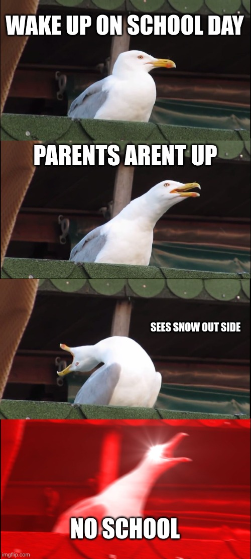 Inhaling Seagull | WAKE UP ON SCHOOL DAY; PARENTS ARENT UP; SEES SNOW OUT SIDE; NO SCHOOL | image tagged in memes,inhaling seagull | made w/ Imgflip meme maker