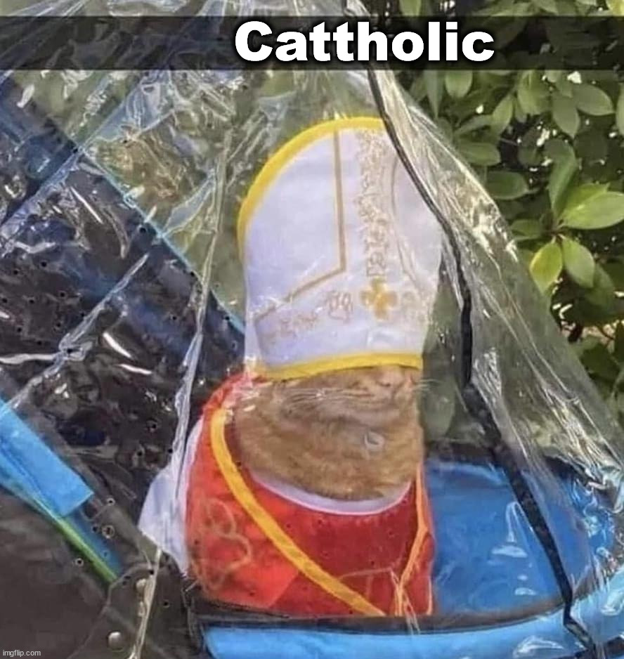 Cattholic | image tagged in catholic | made w/ Imgflip meme maker