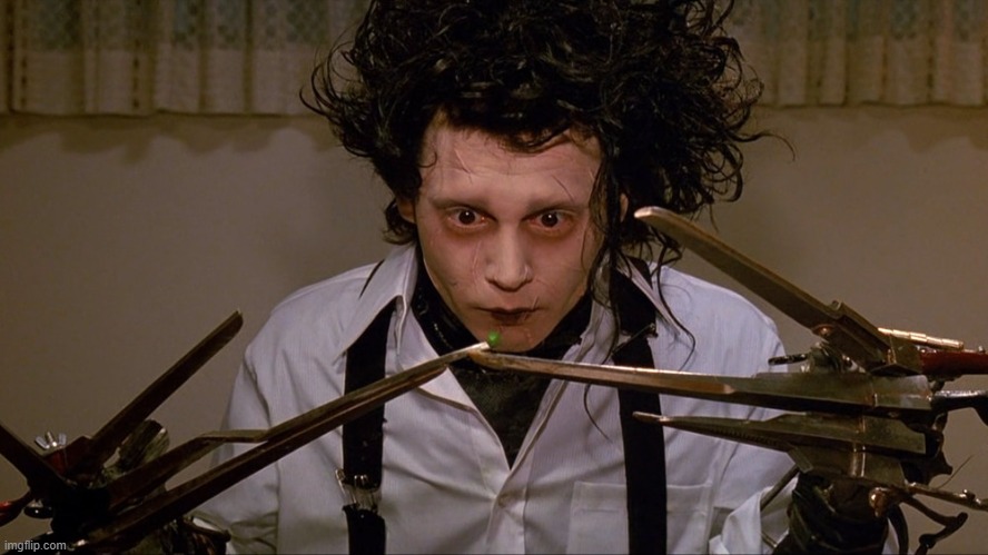 Edward Scissorhands | image tagged in edward scissorhands | made w/ Imgflip meme maker