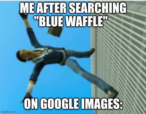 i thought they were waffles | ME AFTER SEARCHING "BLUE WAFFLE"; ON GOOGLE IMAGES: | image tagged in google images,google search,google chrome | made w/ Imgflip meme maker