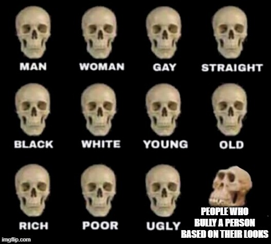 pls dont be mean :) | PEOPLE WHO BULLY A PERSON BASED ON THEIR LOOKS | image tagged in idiot skull | made w/ Imgflip meme maker