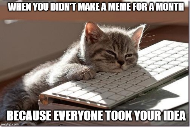 Bored Keyboard Cat | WHEN YOU DIDN'T MAKE A MEME FOR A MONTH; BECAUSE EVERYONE TOOK YOUR IDEA | image tagged in bored keyboard cat | made w/ Imgflip meme maker