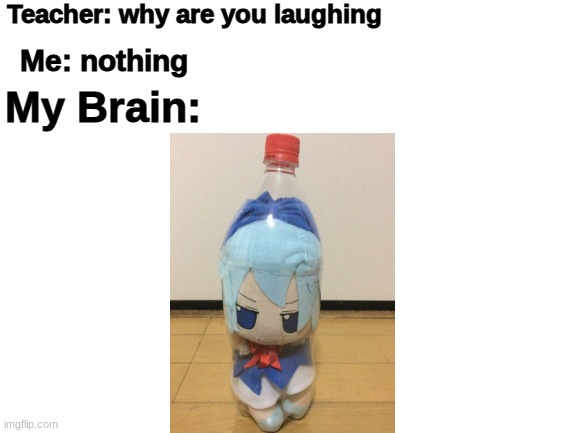 Coffee | Teacher: why are you laughing; Me: nothing; My Brain: | image tagged in blank white template,cirno fumo,uwu,owo | made w/ Imgflip meme maker