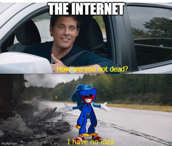sonic how are you not dead | THE INTERNET | image tagged in sonic how are you not dead | made w/ Imgflip meme maker