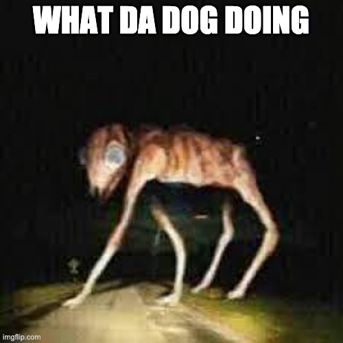 WHAT DA DOG DOING | made w/ Imgflip meme maker