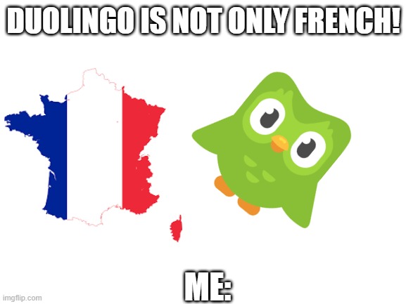 So duolingo is french | DUOLINGO IS NOT ONLY FRENCH! ME: | image tagged in blank white template | made w/ Imgflip meme maker