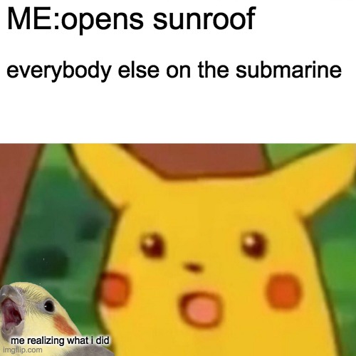 oh no... | ME:opens sunroof; everybody else on the submarine; me realizing what i did | image tagged in memes,surprised pikachu,screaming bird,submarine | made w/ Imgflip meme maker