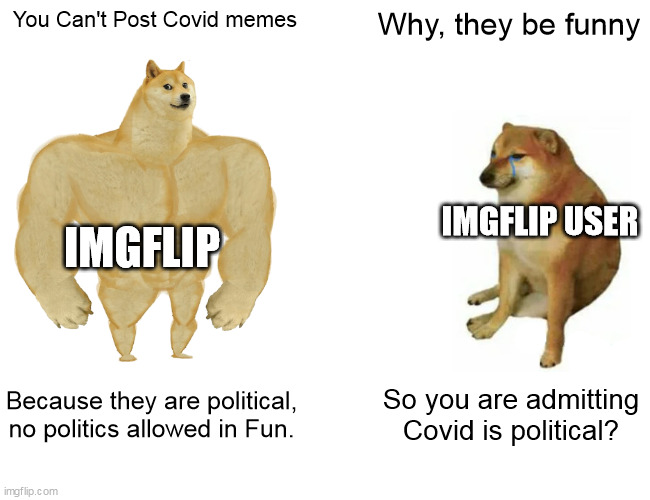 Politics imgflip | You Can't Post Covid memes; Why, they be funny; IMGFLIP USER; IMGFLIP; Because they are political, no politics allowed in Fun. So you are admitting Covid is political? | image tagged in memes,buff doge vs cheems,politics,imgflip,fun,funny | made w/ Imgflip meme maker