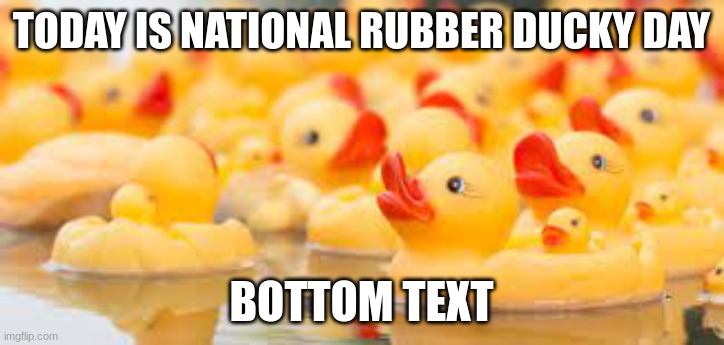 rubber ducky | TODAY IS NATIONAL RUBBER DUCKY DAY; BOTTOM TEXT | made w/ Imgflip meme maker
