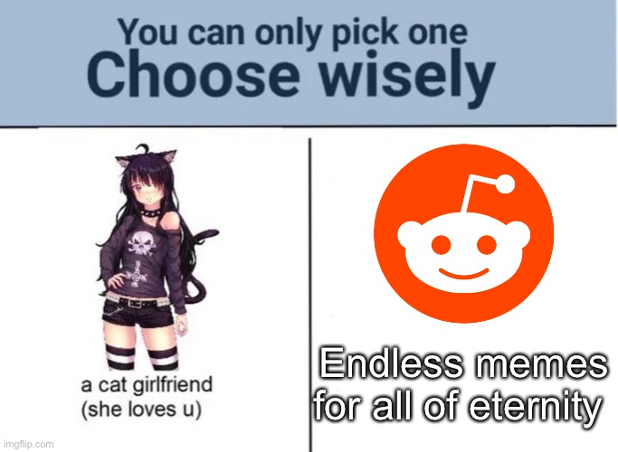 Reddit |  Endless memes for all of eternity | image tagged in choose wisely | made w/ Imgflip meme maker