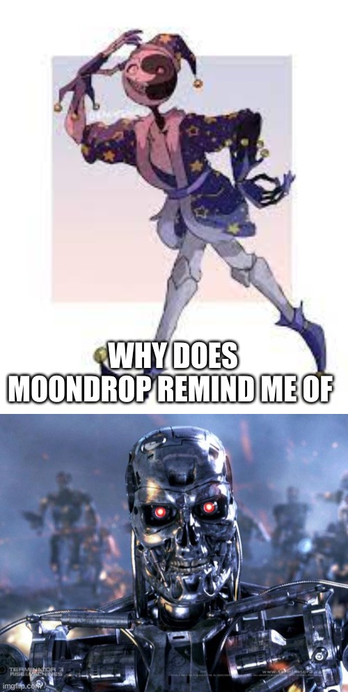 WHY DOES MOONDROP REMIND ME OF | image tagged in moondrop,terminator robot t-800 | made w/ Imgflip meme maker