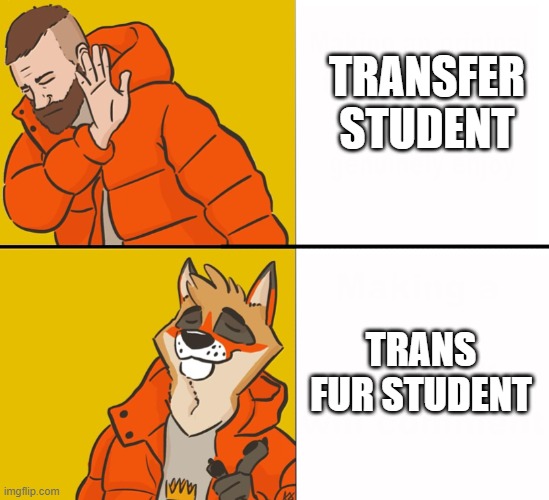 Trans Fur Student | TRANSFER STUDENT; TRANS FUR STUDENT | image tagged in furry drake | made w/ Imgflip meme maker