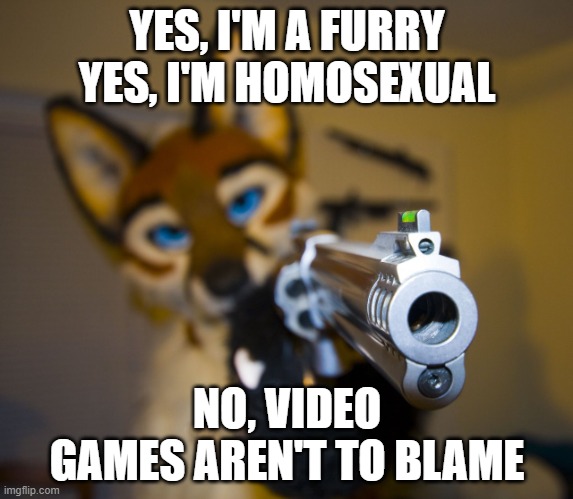 Yes, Yes, No | YES, I'M A FURRY
YES, I'M HOMOSEXUAL; NO, VIDEO GAMES AREN'T TO BLAME | image tagged in furry with gun | made w/ Imgflip meme maker
