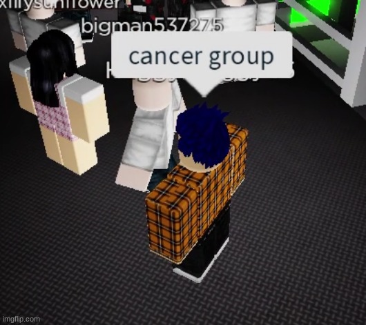 there are like 5 bald people | image tagged in roblox meme | made w/ Imgflip meme maker