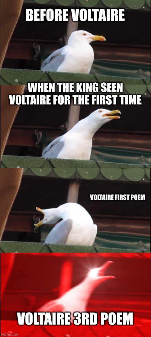 Inhaling Seagull | BEFORE VOLTAIRE; WHEN THE KING SEEN VOLTAIRE FOR THE FIRST TIME; VOLTAIRE FIRST POEM; VOLTAIRE 3RD POEM | image tagged in memes,inhaling seagull | made w/ Imgflip meme maker