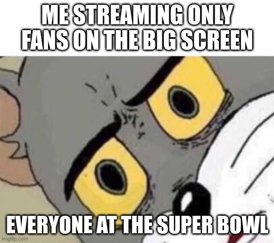wow | ME STREAMING ONLY FANS ON THE BIG SCREEN; EVERYONE AT THE SUPER BOWL | image tagged in tom cat unsettled close up | made w/ Imgflip meme maker