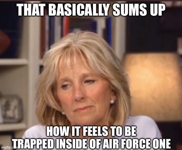 Jill Biden meme | THAT BASICALLY SUMS UP HOW IT FEELS TO BE TRAPPED INSIDE OF AIR FORCE ONE | image tagged in jill biden meme | made w/ Imgflip meme maker