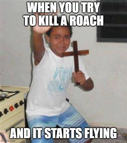 I made this meme while a roach was flying around my house |  WHEN YOU TRY TO KILL A ROACH; AND IT STARTS FLYING | image tagged in scared kid | made w/ Imgflip meme maker